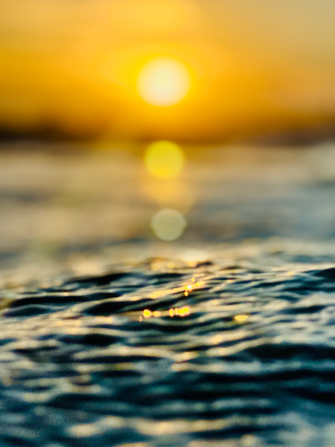 Where Light Rests
